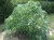 eb877da86adcdfdb79bdeae539c97a72