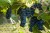 d634ee945e601fef65b7fd183b8aff19
