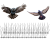 0b198cb6fca025541f17bb0f138e4f02